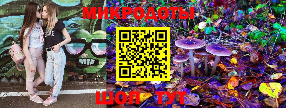 Галлюциногенные грибы Psilocybe  Вход с VPN  Канаш  Псилоцибиновые грибы Cubensis 